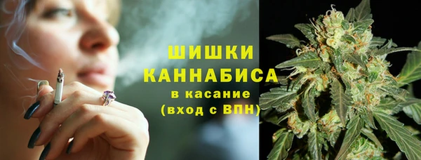 ешки Вяземский