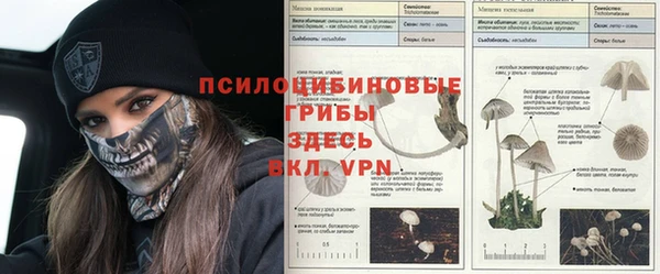 прущие крисы Горняк